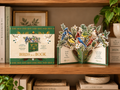 A decorative pop-up book titled 'Birds in a Book' displayed on a wooden shelf next to other books. The book is shown closed with its illustrated green and cream cover and open with a 3D pop-up scene featuring colorful birds, flowers, and leaves.