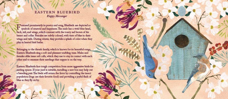 Illustration of Eastern Bluebird with floral elements and text on a light pink background