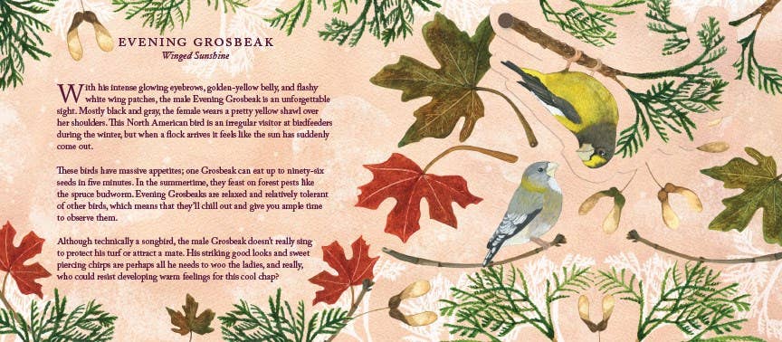 Illustration of birds and leaves with text on a pink background