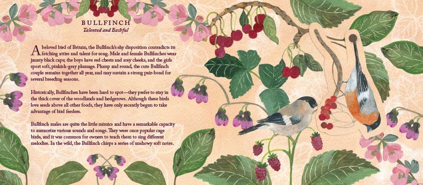Illustration of a bullfinch among flowers and leaves with text on a beige background