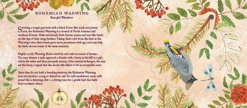 Illustration of a Bohemian Waxwing with floral and botanical elements on a beige background.