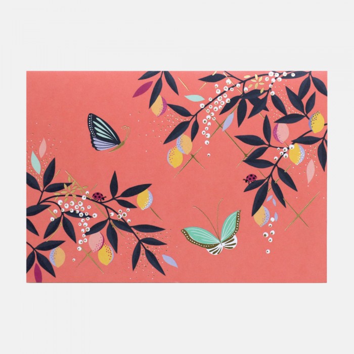 The Orchard Box of Notecards – Complete Writing Set