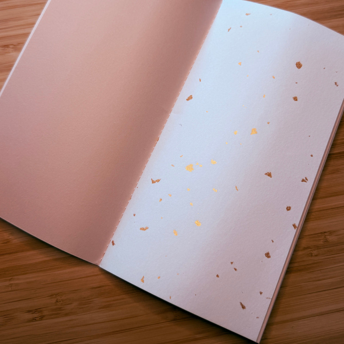 Traveler's Memory Booklet Duo